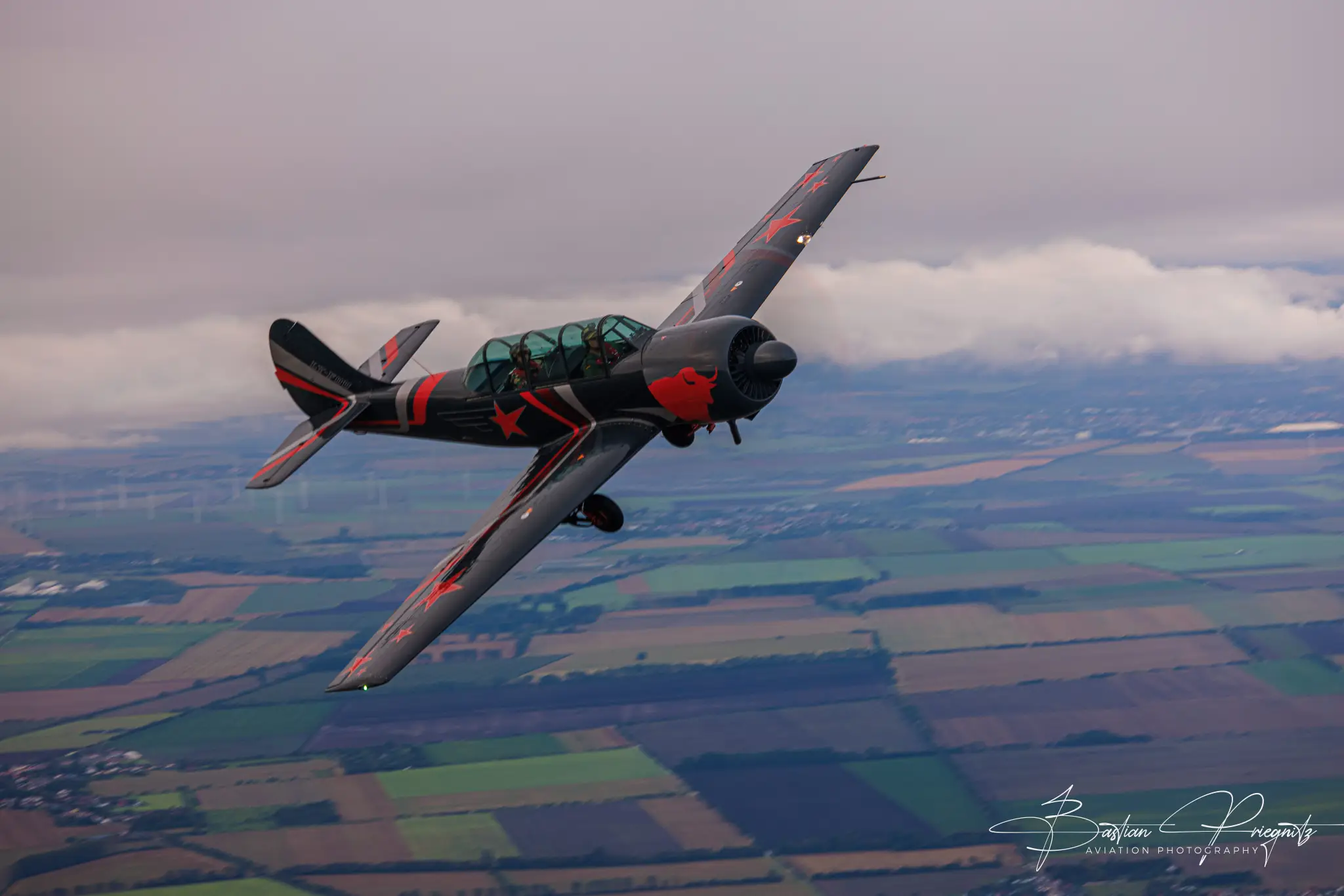 Immaculate 1981 Yakovlev Yak-52 for Sale | CollectAirs